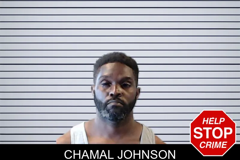 Chamal Johnson mugshot