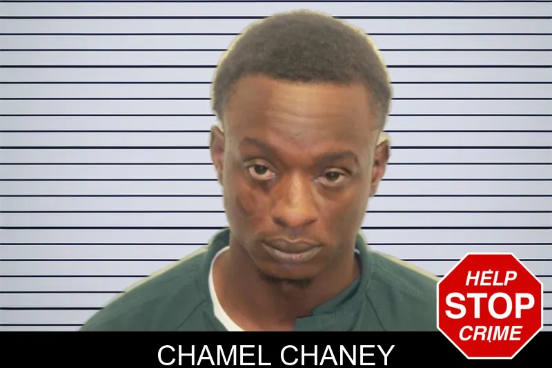 Chamel Chaney mugshot – Chatham County , Georgia Chamel Chaney mugshot