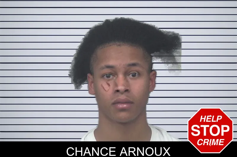 Chance Arnoux mugshot – Gwinnett County , Georgia Chance Arnoux mugshot