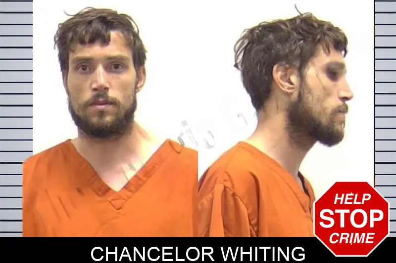 Chancelor Whiting mugshot – Clarke County , Georgia Chancelor Whiting mugshot