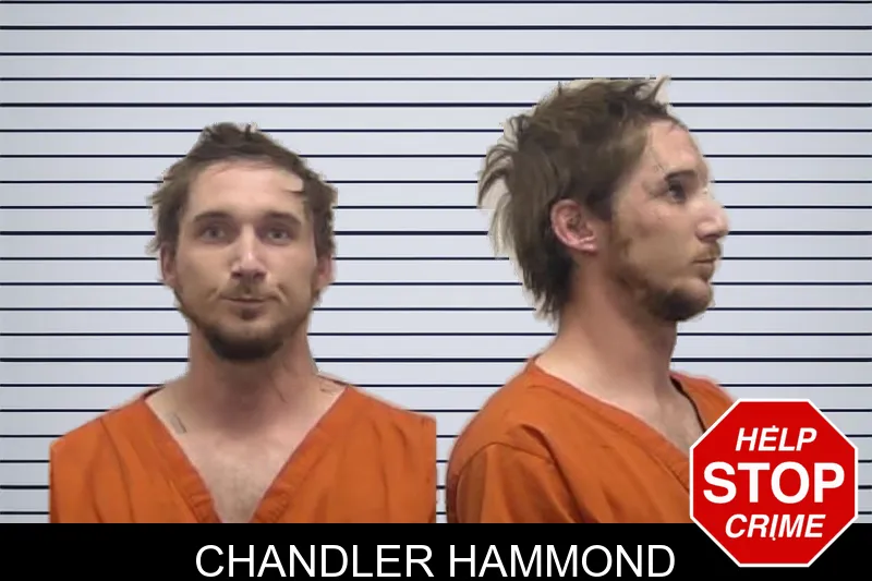 Chandler Hammond mugshot – Clarke County , Georgia Chandler Hammond mugshot