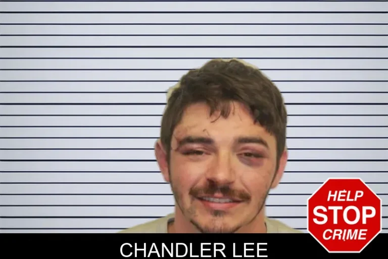 Chandler Lee