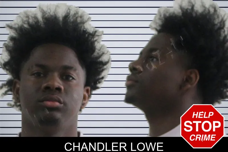 Chandler Lowe mugshot
