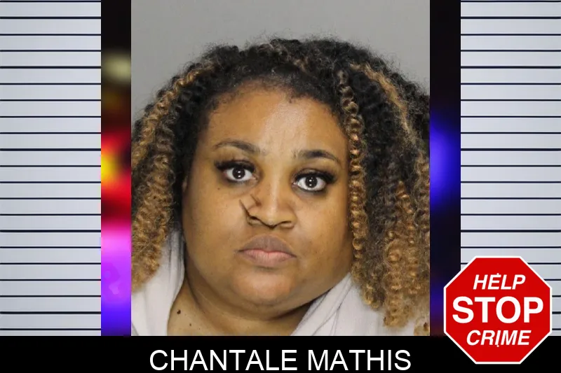 Chantale Mathis mugshot – Cobb County , Georgia Chantale Mathis mugshot