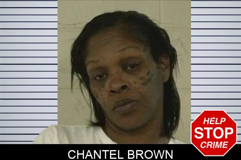 Chantel Brown mugshot – Liberty County , Georgia Chantel Brown