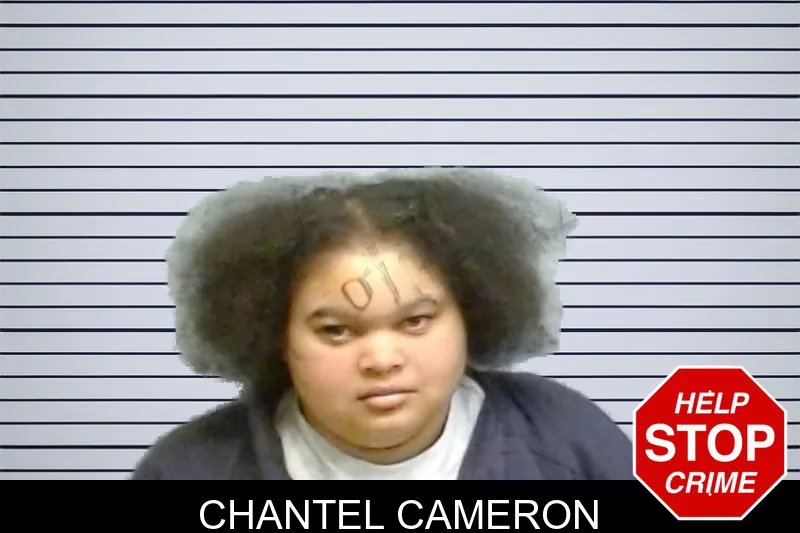 Chantel Cameron mugshot