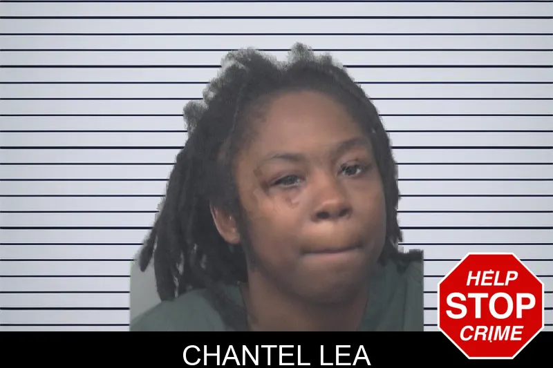 Chantel Lea mugshot – Gwinnett County , Georgia Chantel Lea mugshot