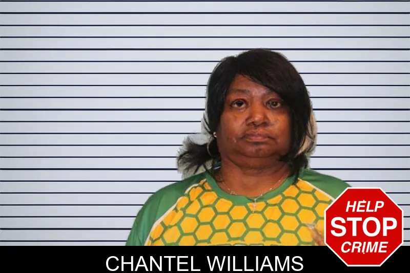 Chantel Williams mugshot – Grady County , Georgia Chantel Williams mugshot