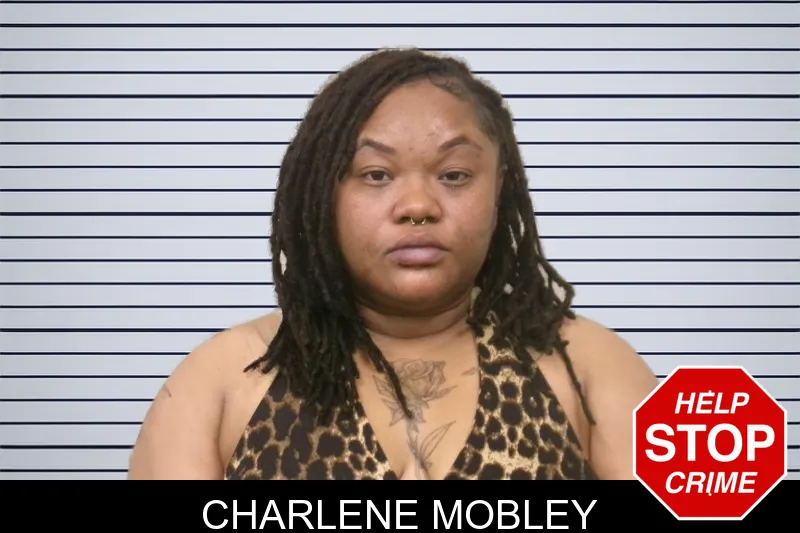 Charlene Mobley mugshot – Bulloch County , Georgia Charlene Mobley mugshot