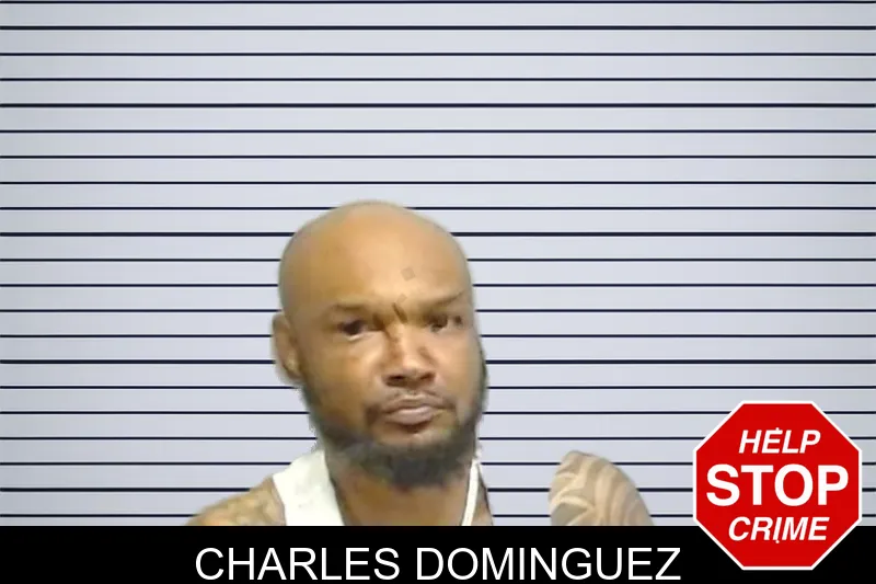Charles Dominguez mugshot
