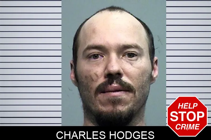 Charles Hodges mugshot – Effingham County , Georgia Charles Hodges mugshot