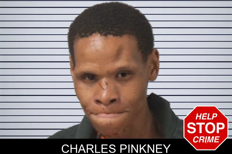 Charles Pinkney mugshot – Mcintosh County , Georgia Charles Pinkney mugshot