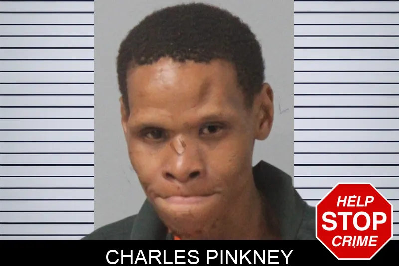 Charles Pinkney mugshot – Mcintosh County , Georgia Charles Pinkney mugshot