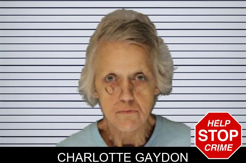 Charlotte Gaydon mugshot