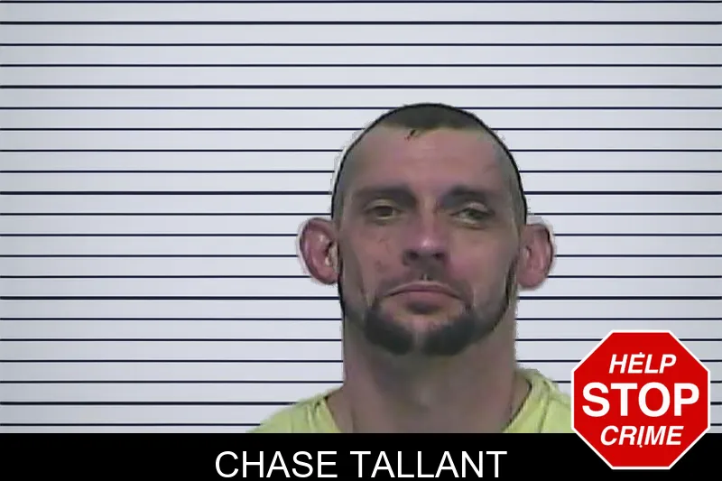 Chase Tallant mugshot