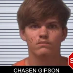 Chasen Gipson mugshot – Franklin County , Georgia Chasen Gipson mugshot
