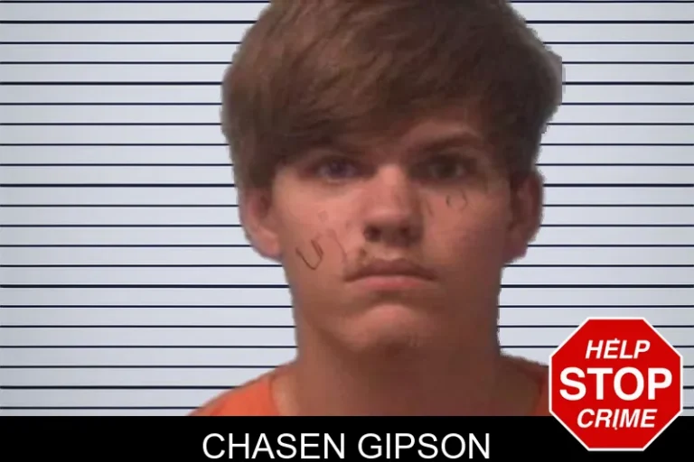 Chasen Gipson mugshot – Franklin County , Georgia Chasen Gipson