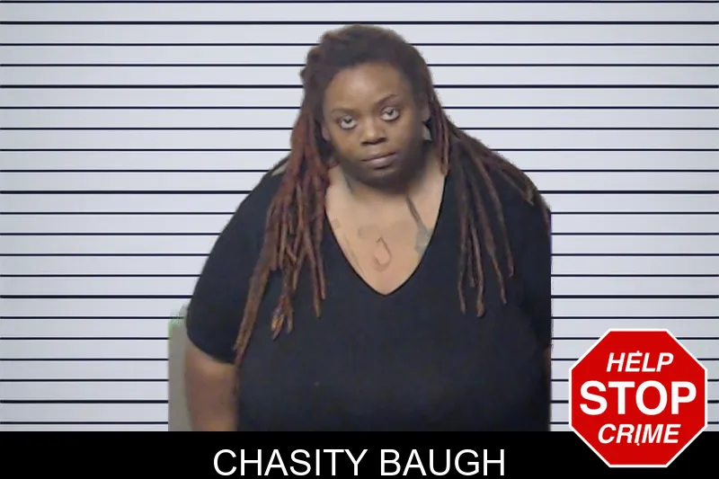 Chasity Baugh mugshot – DeKalb County , Georgia Chasity Baugh mugshot