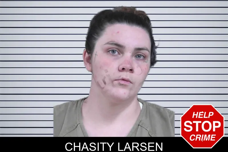 Chasity Larsen mugshot – Gordon County , Georgia Chasity Larsen mugshot