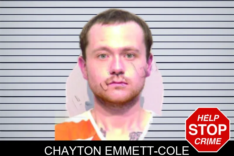Chayton Emmett-Cole mugshot