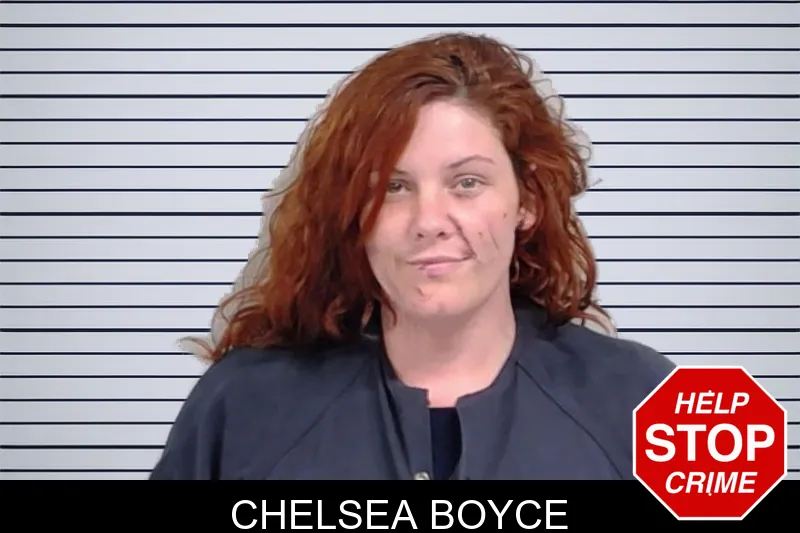 Chelsea Boyce mugshot – Lowndes County , Georgia Chelsea Boyce mugshot