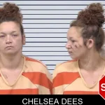 Chelsea Dees mugshot