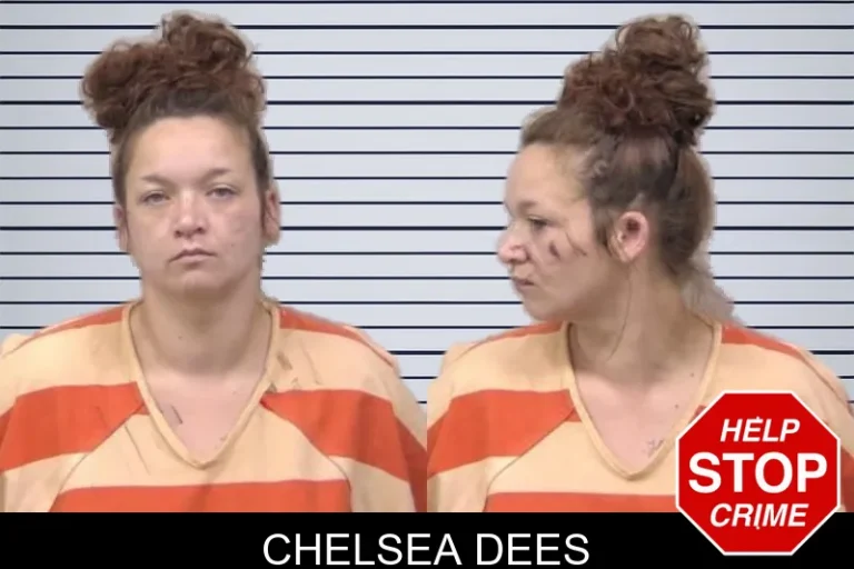 Chelsea Dees mugshot – Paulding County , Georgia Chelsea Dees