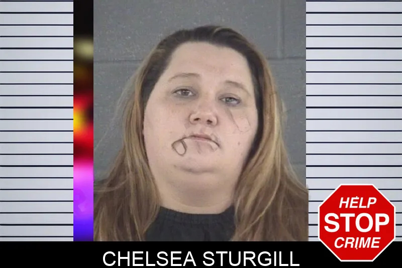 Chelsea Sturgill mugshot