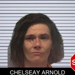 Chelseay Arnold mugshot