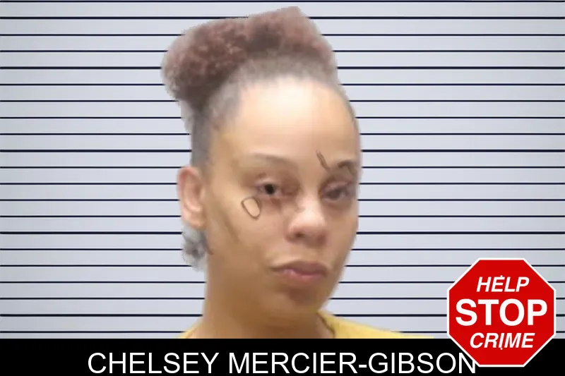 Chelsey Mercier-Gibson mugshot