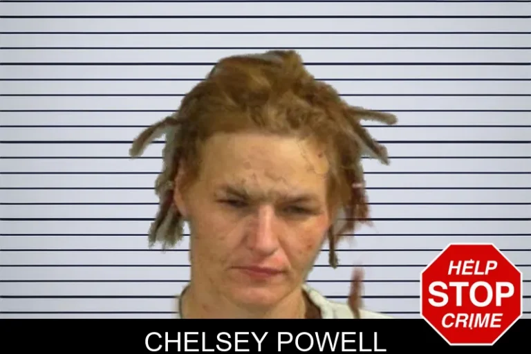 Chelsey Powell mugshot – Upson County , Georgia Chelsey Powell