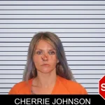 Cherrie Johnson mugshot