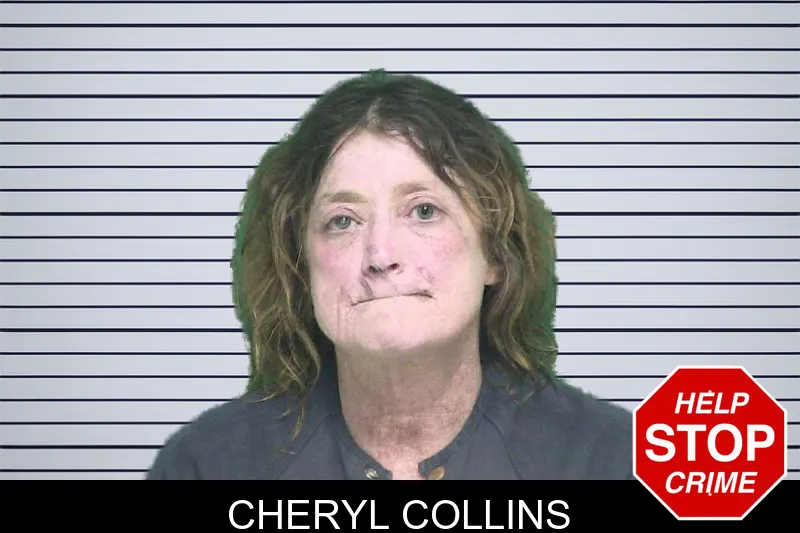 Cheryl Collins mugshot