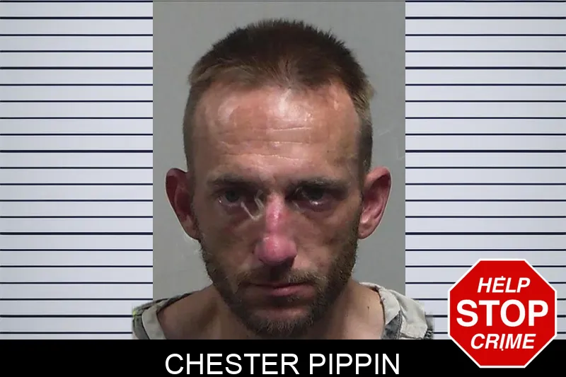 Chester Pippin mugshot
