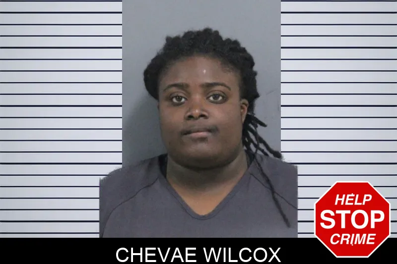 Chevae Wilcox mugshot