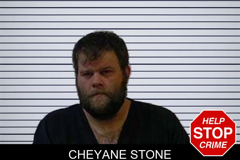 Cheyane Stone mugshot
