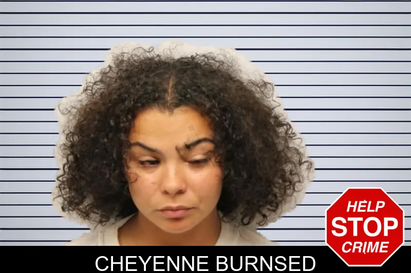 Cheyenne Burnsed mugshot – Chatham County , Georgia Cheyenne Burnsed mugshot