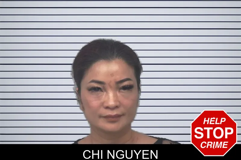Chi Nguyen mugshot – Gwinnett County , Georgia Chi Nguyen mugshot