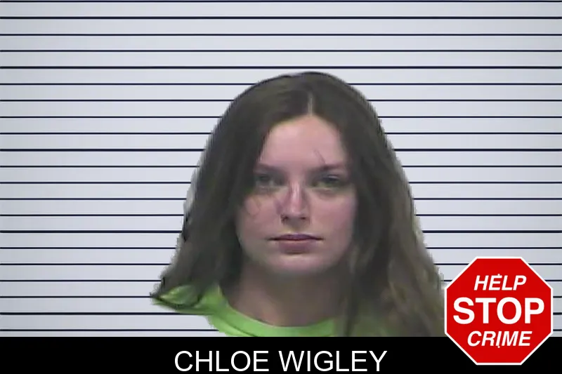 Chloe Wigley mugshot