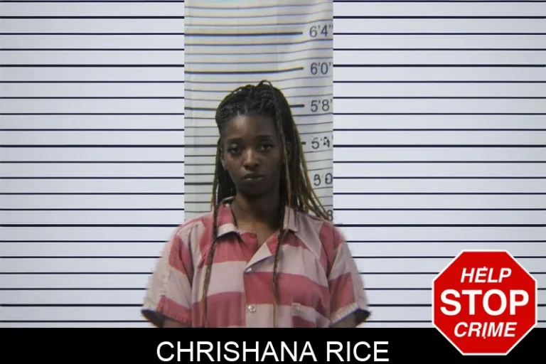 Chrishana Rice mugshot – Stephens County , Georgia Chrishana Rice