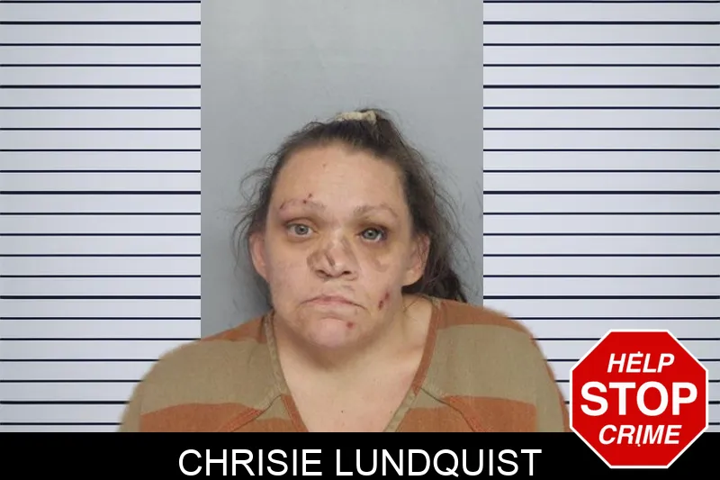 Chrisie Lundquist mugshot – Hall County , Georgia Chrisie Lundquist mugshot
