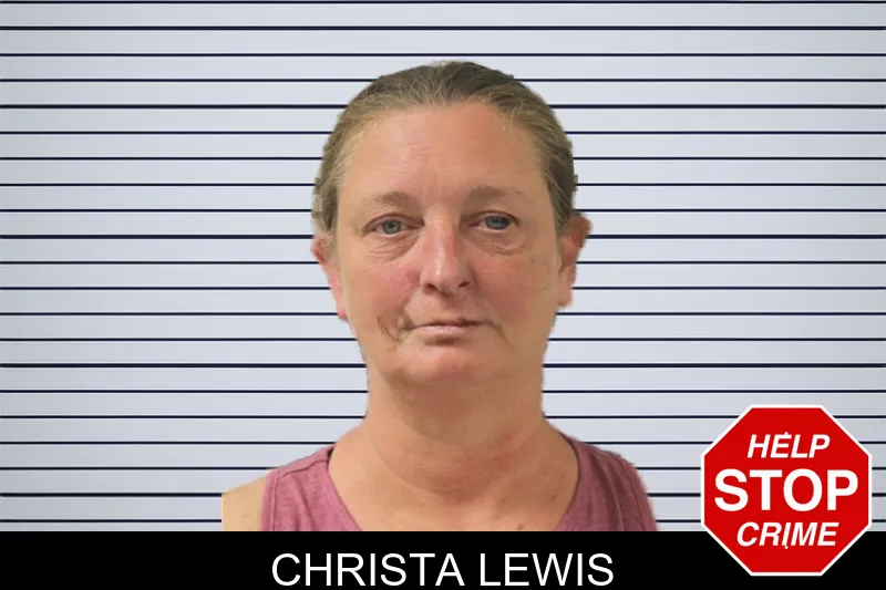 Christa Lewis mugshot – Toombs County , Georgia Christa Lewis mugshot