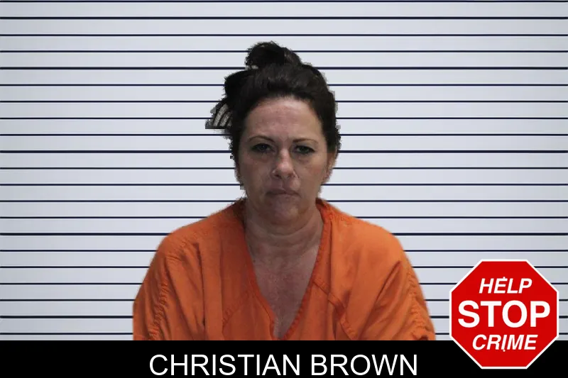 Christian Brown mugshot