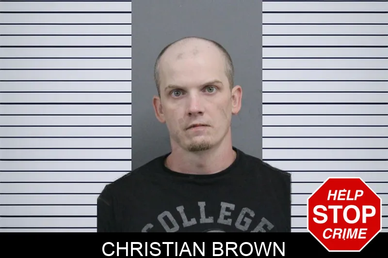 Christian Brown mugshot