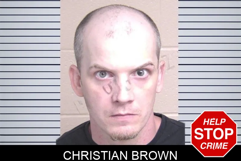 Christian Brown mugshot