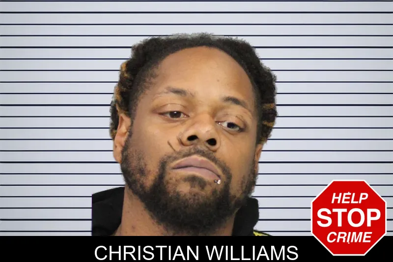 Christian Williams mugshot – Cobb County , Georgia Christian Williams mugshot