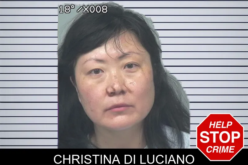 Christina Di Luciano mugshot – Gwinnett County , Georgia Christina Di Luciano mugshot
