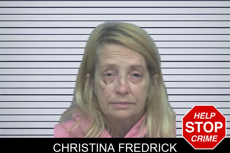 Christina Fredrick mugshot – Gwinnett County , Georgia Christina Fredrick mugshot