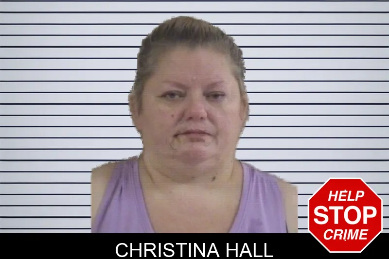 Christina Hall mugshot – Whitfield County , Georgia Christina Hall mugshot