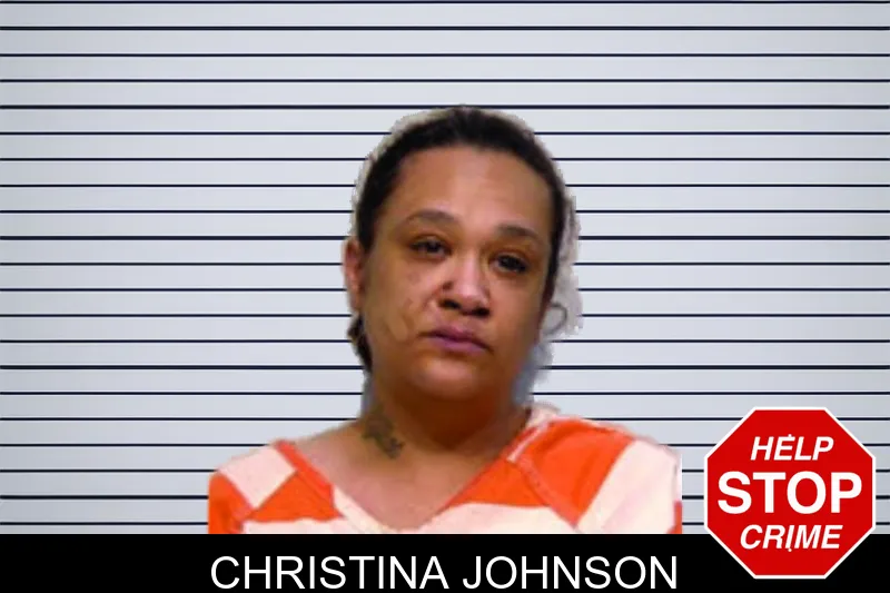 Christina Johnson mugshot
